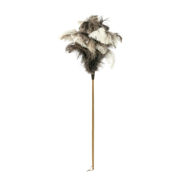 Feather duster ostrich feather, Long