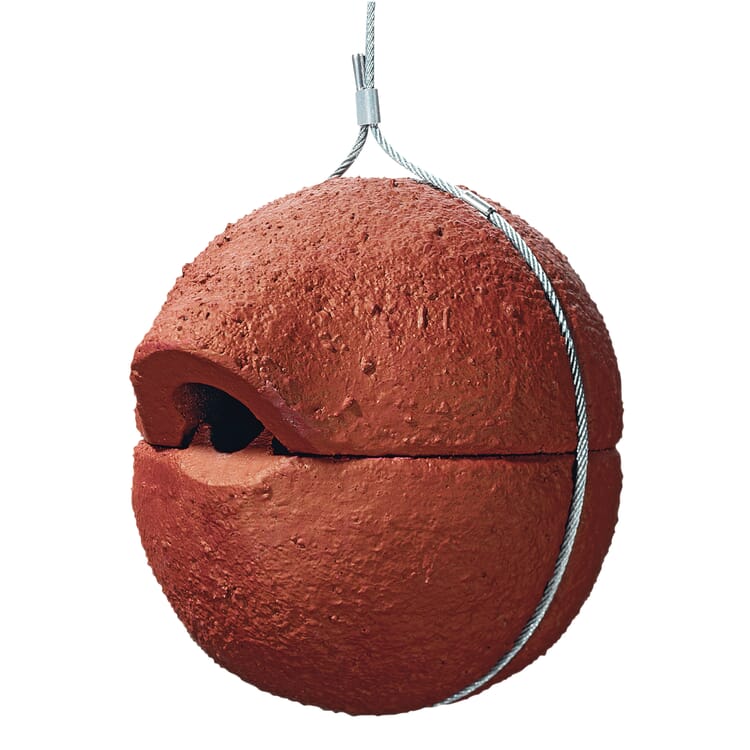 Boule de nidification roitelet