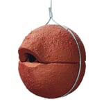 Nidkær kuglenisse i rede