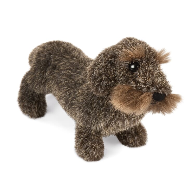 Kösen ruhåret gravhund
