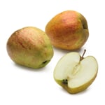 Obstgehölz Winterapfel 'Finkenwerder Herbstprinz' Hochstamm