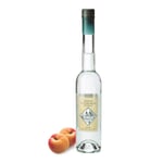 Seckauer Marillenbrand 0,35 l