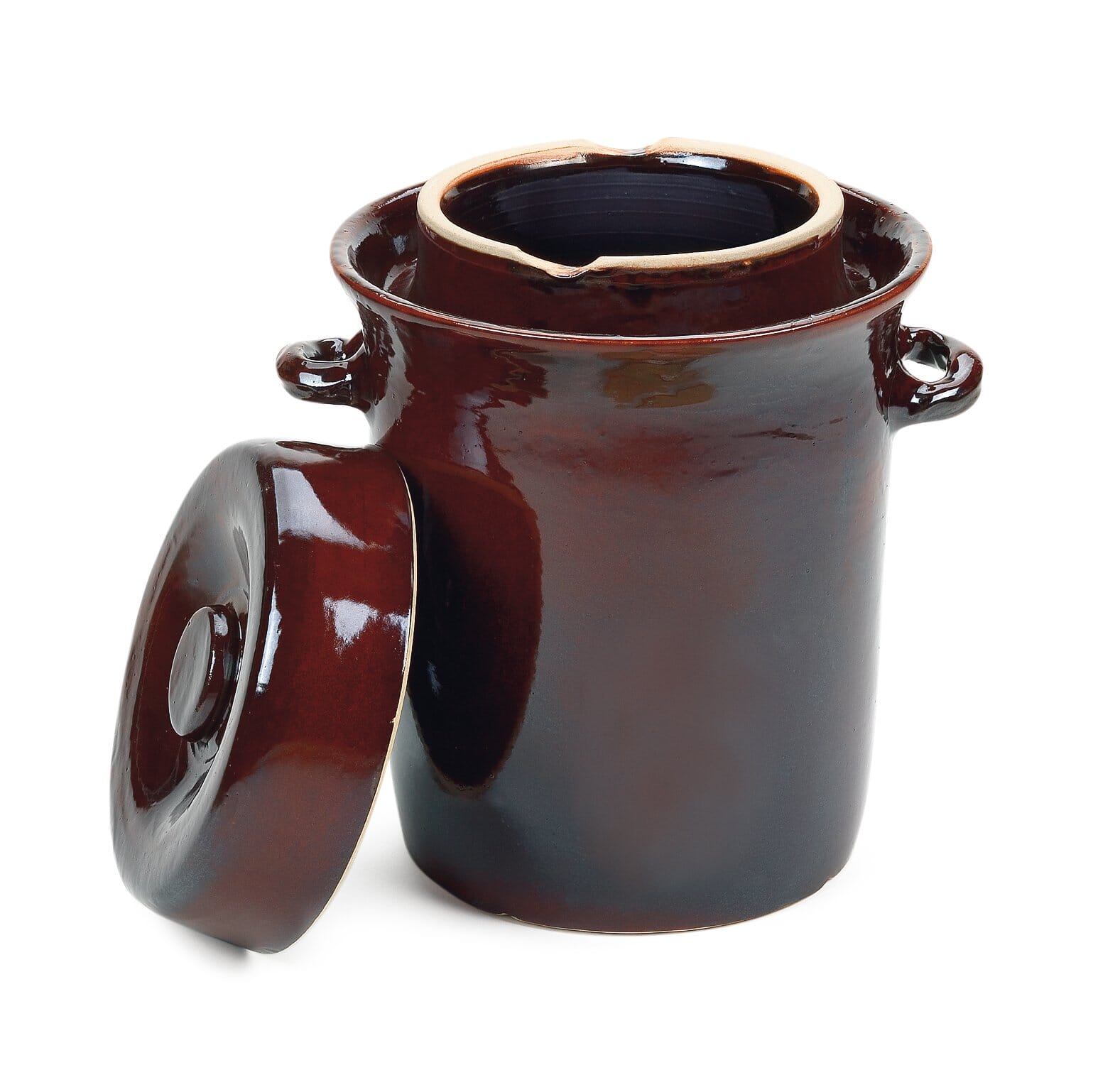 Vintage Traditionnel en céramique Pot de cornichon de Fermentation Pot de  Fermentation, Pot de cornichon Chinois, réservoir de Fermentation avec  Phoque d'eau Couverte,2kg : : Cuisine et Maison