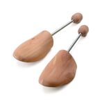 Cedar Shoe Trees Nature