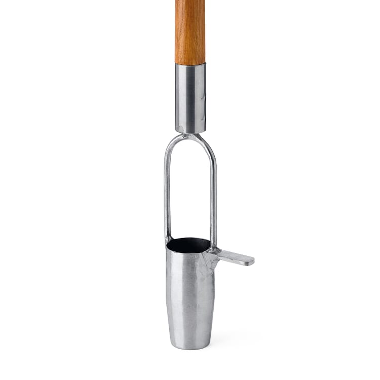 Blomsterløgsplanter i rustfrit stål