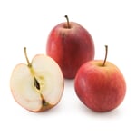 Winterapfel 'Purpurroter Cousinot' Hochstamm