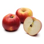 Winterapfel 'Winterrambur' Halbstamm