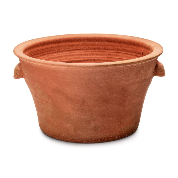 Terracotta Tulip Pot