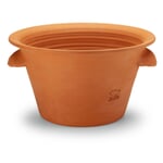 Tulip pot terracotta