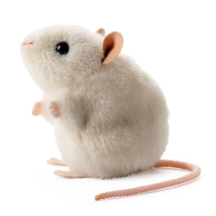 Kösen witte muis