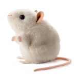 Kösener witte muis