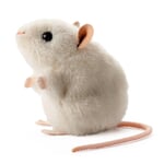 Ratón blanco de Kösener