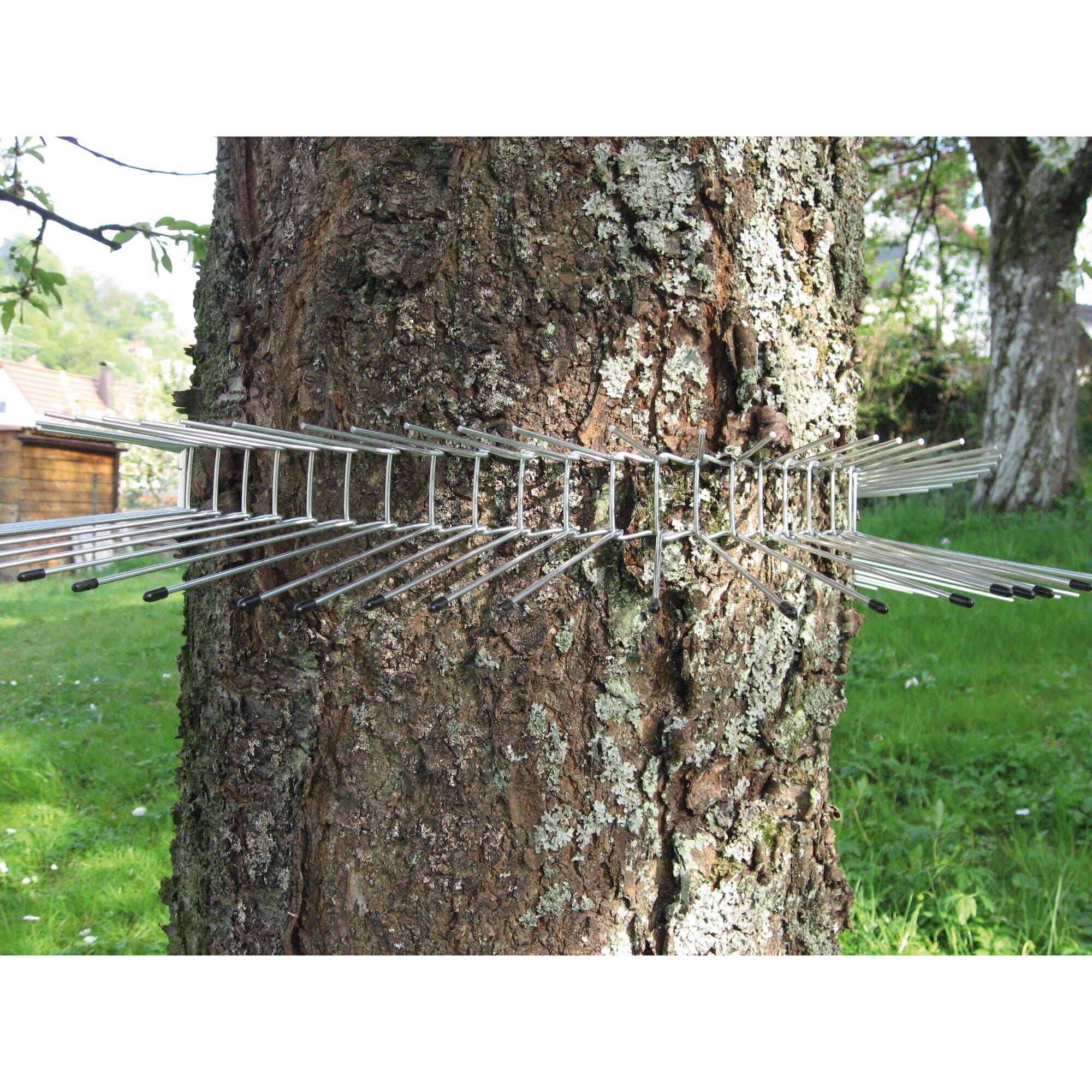 Katzenabwehrgürtel für Bäume bis ca. 70cm Stammumfang, Metallgurt für Bäume  : : Garten