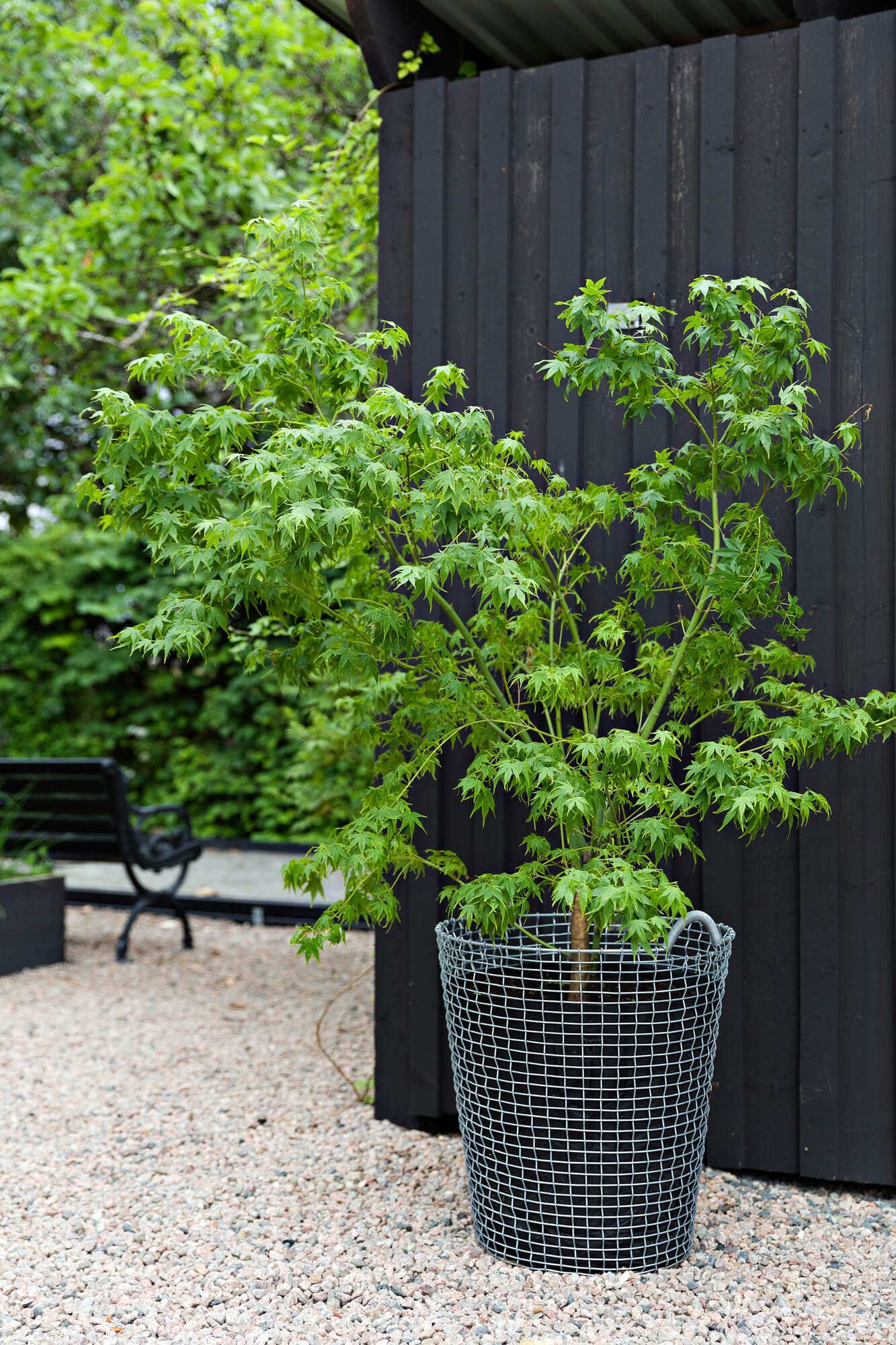 Robe Justaucorps Avec Jupe Pour Ballet, Danse, Gymnastique - Femme Adulte Et Filles - Costume De Danse Neuf Avec étiquettes