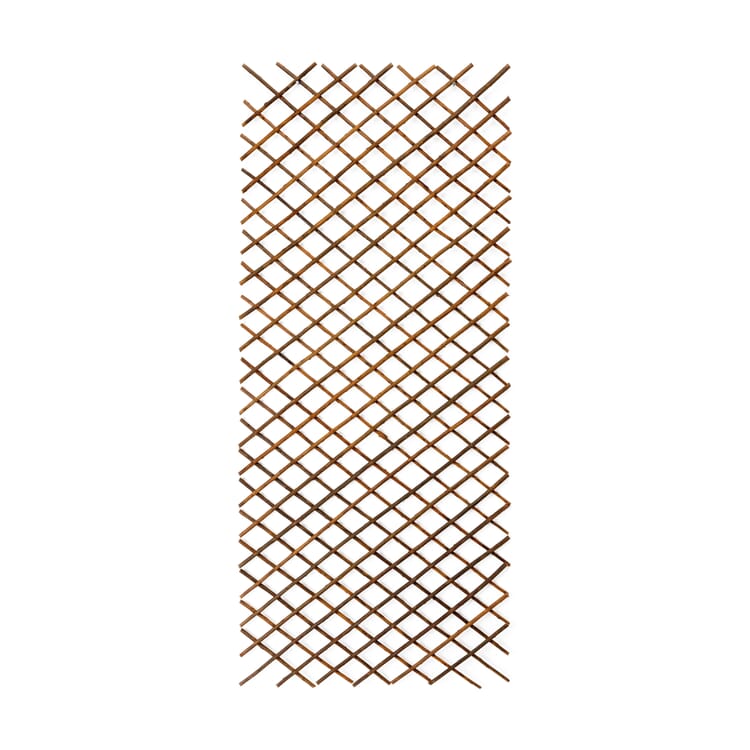 Fleksibelt espalier af pil