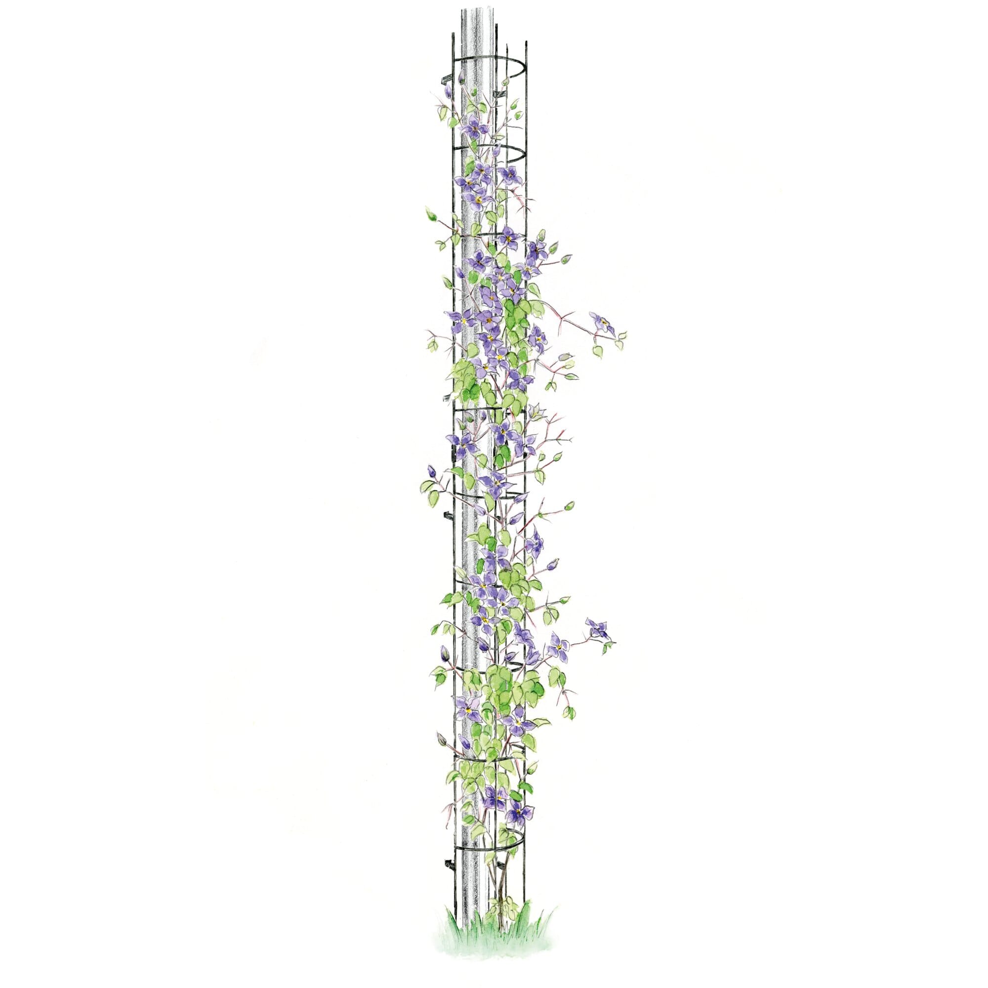 Rankhilfe Blumen Gitter halbrund Regenrohr Rankgitter für Fallrohre grün 200cm 