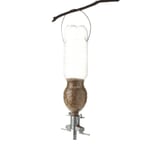 Birdfeeder Sodabird
