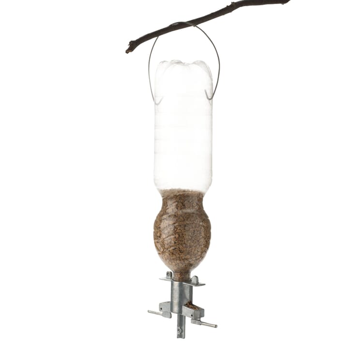 Birdfeeder Sodabird