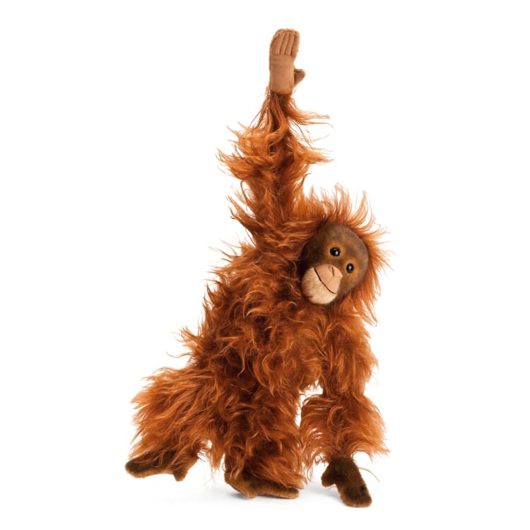 Kösen orangutang