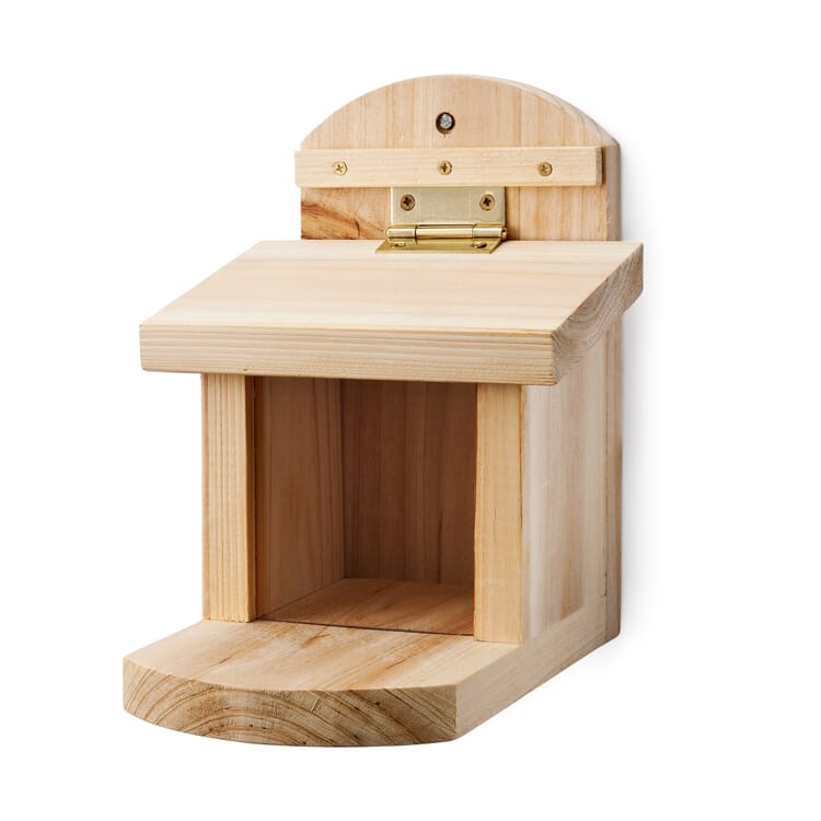 Mangeoire pour écureuils