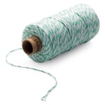 Baker's Yarn Mint green-White