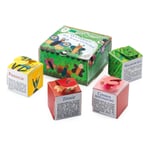 Graines de fleurs bio 'Cubes de graines pour papillons