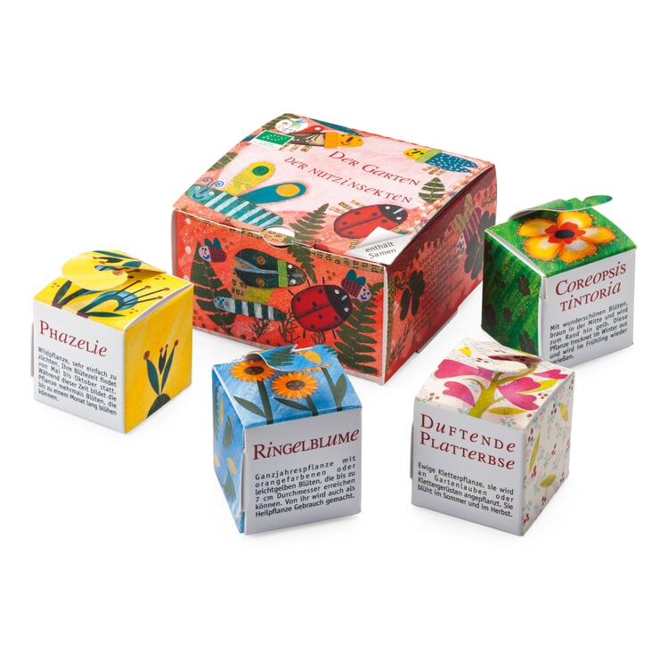 Graines de fleurs bio Cubes de graines pour insectes utiles