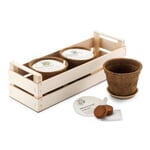 Kit de semis bio Jardin des papillons