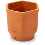 Herb pot terracotta