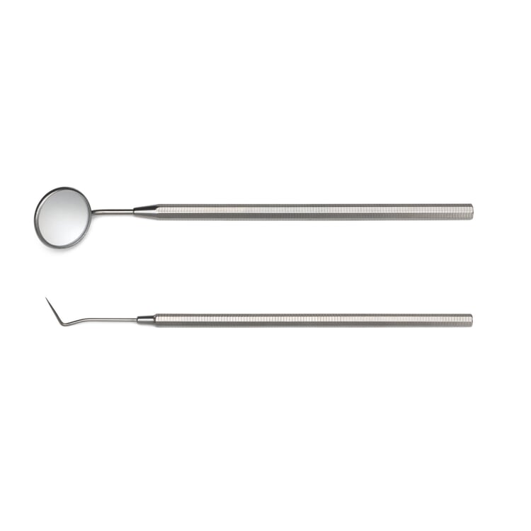 Set dental care instruments stainless steel Manufactum