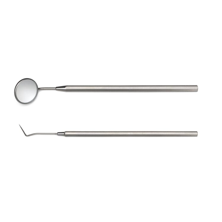 Set of Stainless Steel Dental Care Instruments