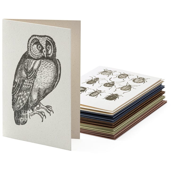Biglietti d'auguri con motivi animali assortiti