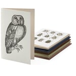 Greeting cards animal motifs sorted