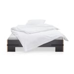Bed RATCHET BELT BED Black 200 × 200 Belts in Black