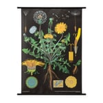 Instruction board canvas Dandelion