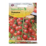 Gemüsesaatgut Obsttomate 'Freude'
