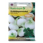 Gemüsesaatgut Frühlingszwiebel 'Weiße'