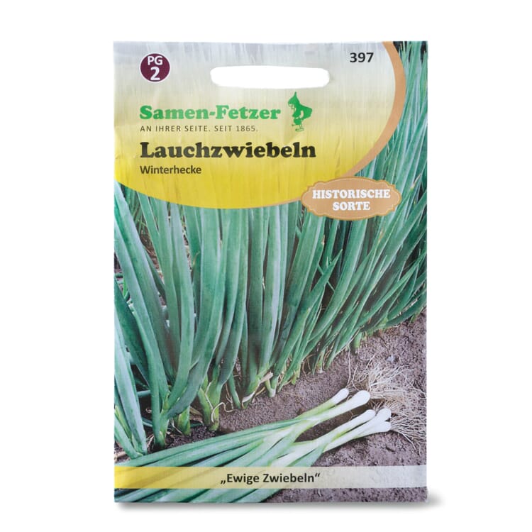 Gemüsesaatgut Winterheckenzwiebel