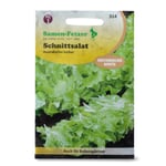 Gemüsesaatgut Schnittsalat Australischer Gelber