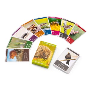 Nature quartet animals in the garden | Manufactum