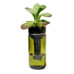 Planter Self Watering Bottle Green