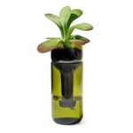 Planter Zelf Water gevende Fles Groen