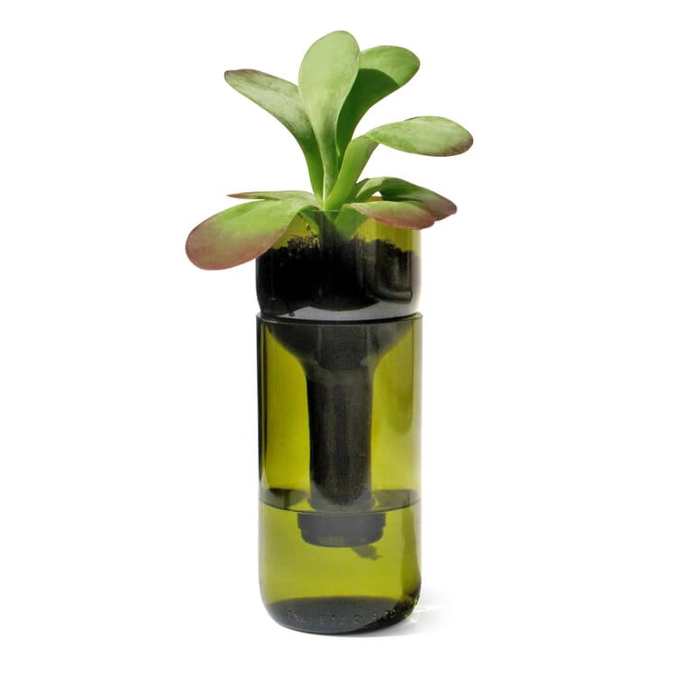 Planter Zelf Water gevende Fles