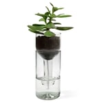 Jardinière Self Watering Bottle Incolore