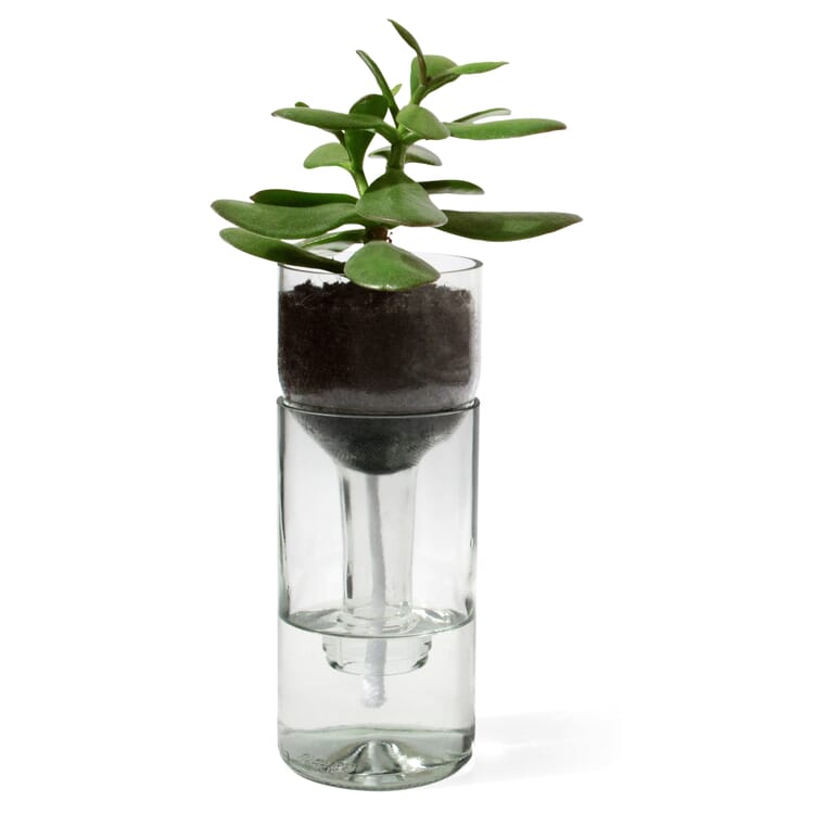 Planter selvvandende flaske, Farveløs