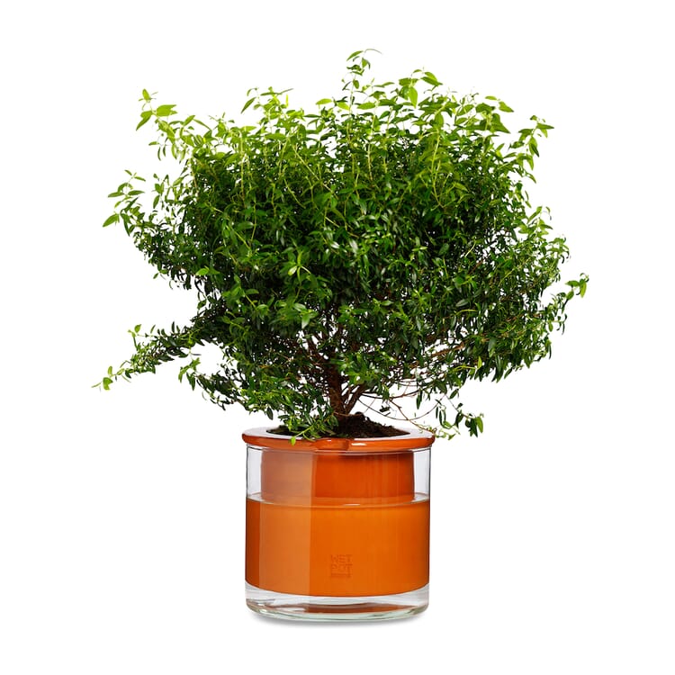 Wet Pot Systems planter, Ø 19 cm