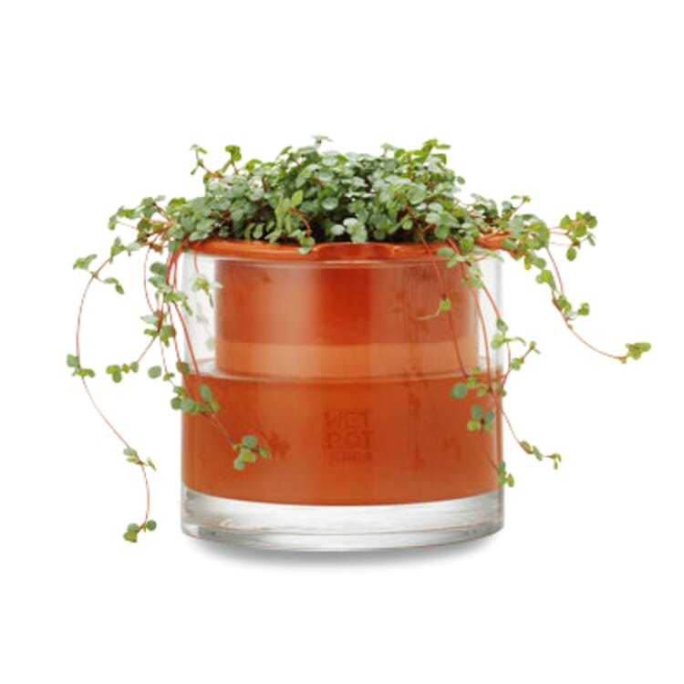 Planter Wet Pot Systems, Ø 15 cm