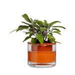 Jardinera Wet Pot Systems Ø 12 cm