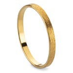 Finger Ring Band Made of Brushed Silver Gilded Silver 52 (16,6 mm)