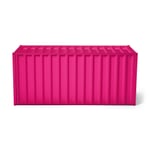 Container DS RAL4010 Telemagenta